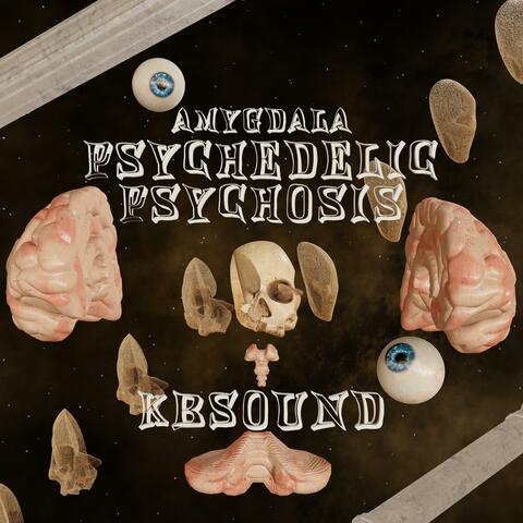 CHAPTER 4 PSYCHEDELIC PSYCHOSIS (AMYGDALA)