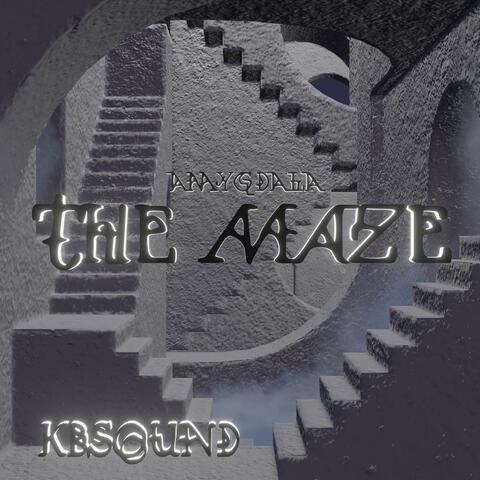 CHAPTER 3 THE MAZE (AMYGDALA)