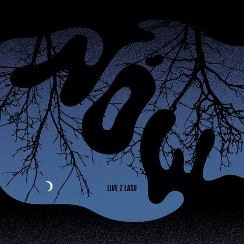 Live Z Lasu