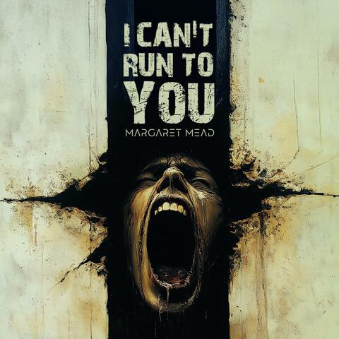 I Can't Run To You