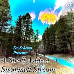 Aside a Snowmelt Stream