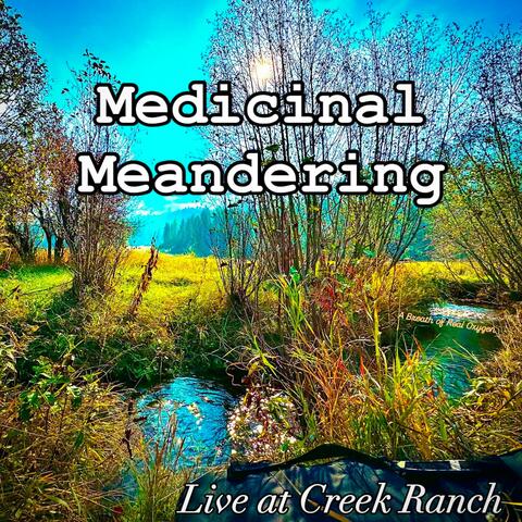 Medicinal Meandering (Live at Creek Ranch)