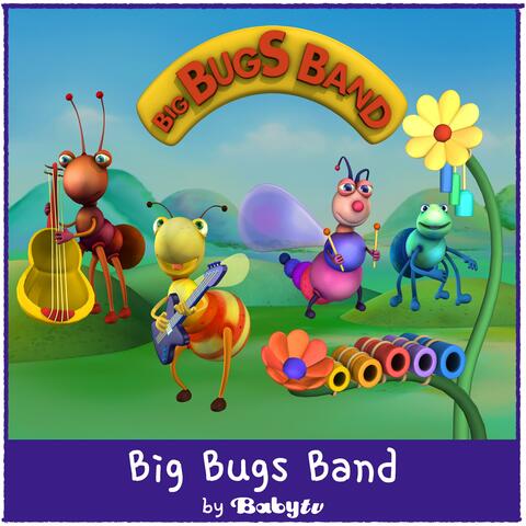 Big Bugs Band