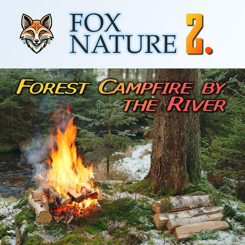 Forest Campfire by the River (Ambisonic)
