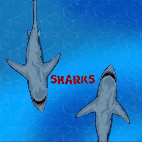 SHARKS