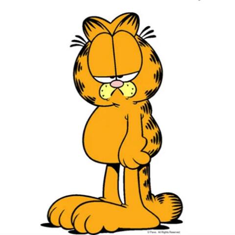 Garfield