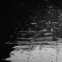 Gusty Rain