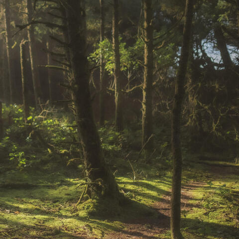 Music for Contact and Other Joys, Vol. 2