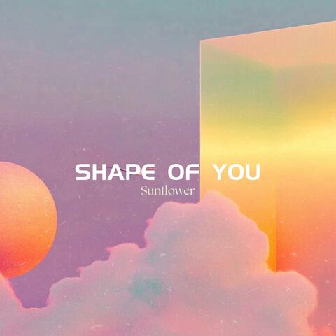 Shape of You