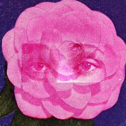 UNTITLED 05