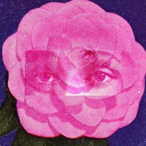 UNTITLED 05