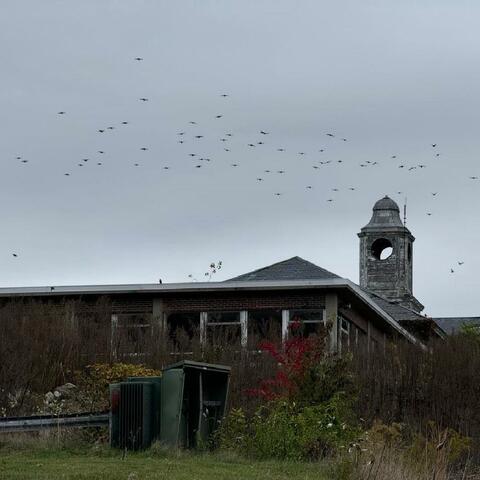 Instrumental Tracks 2018-2024