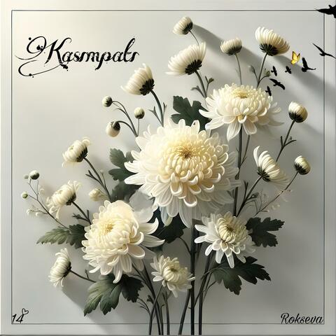 Kasımpatı