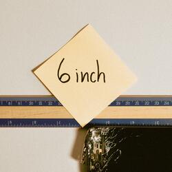 6 inch