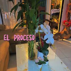El proceso