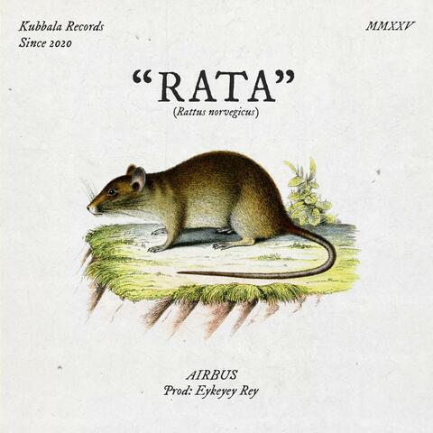 RATA