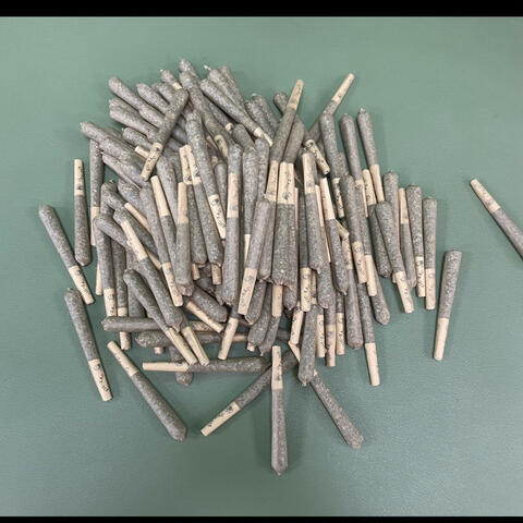 Alaskan Thunderfucked