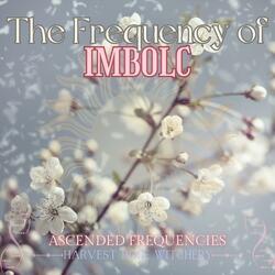 The Frequency Of Imbolc (469Hz 972Hz 4728Hz)