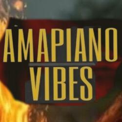 Best log hub Amapiano vibe 2024. com