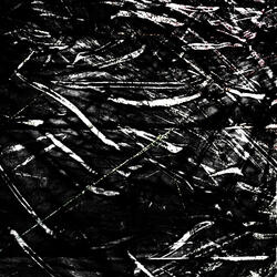AGE OF 12 DEATH//2009(XX)