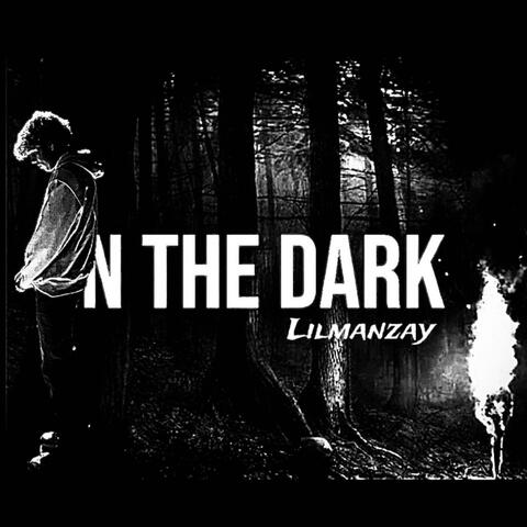 In the Dark