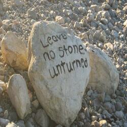 Leave No Stone Unturned