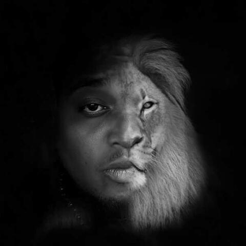 Sheep Into Lions