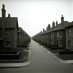 Suburbia