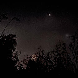 track no.7