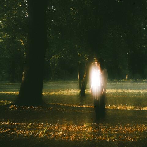 The Light