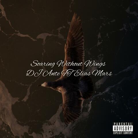 Soaring Without Wings (feat. Elias Mars)