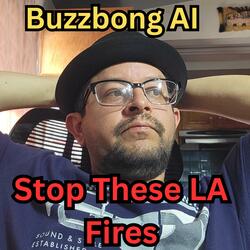 Stop These LA Fires