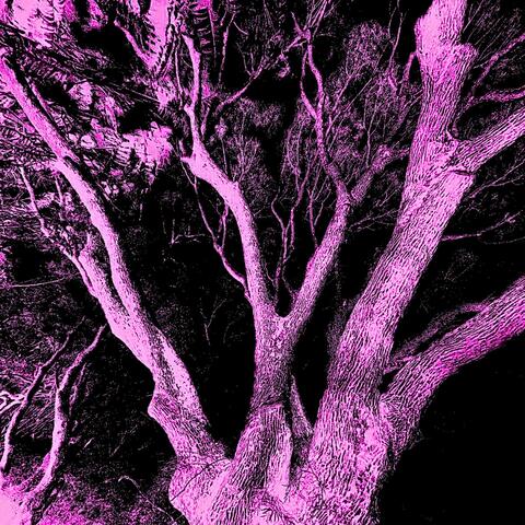 tokin tree