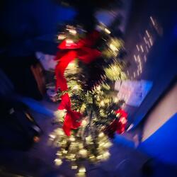 High on Christmas (Demo)