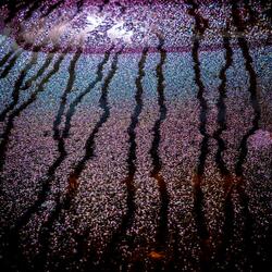 Dew On Parked Cars: 4.2 (Extended Version)