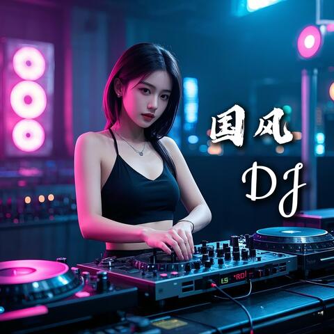 探故知（DJ版）