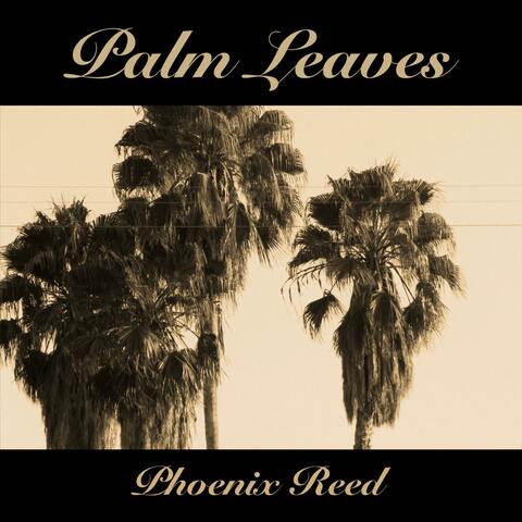 Palm Leaves