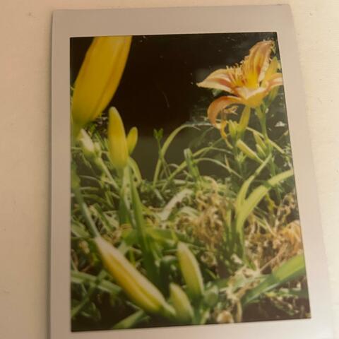 Faded Memories