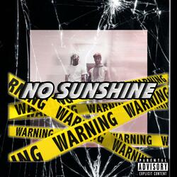 No Sunshine (feat. Rome2ks)