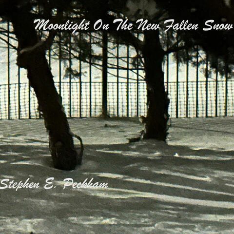 Moonlight On The New Fallen Snow