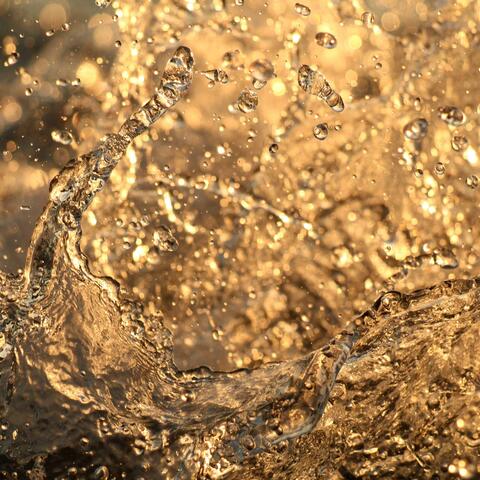 Prosecco
