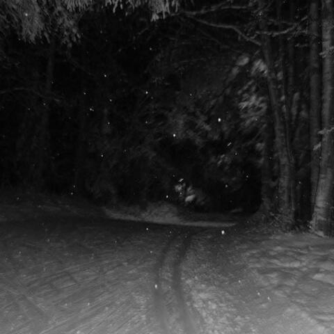 silent way