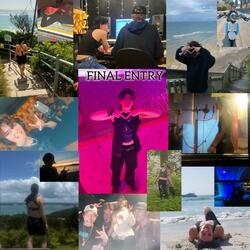 Final Entry (feat. $av)