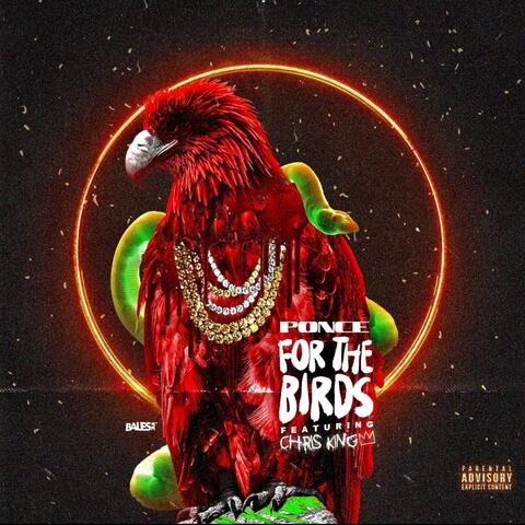 For The Birds (feat. Chris King)