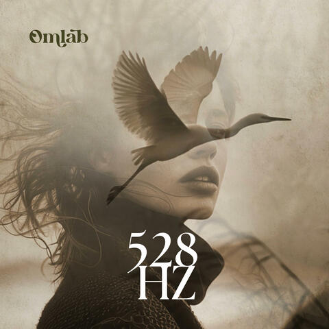 528 Hz