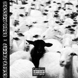 Black Sheep