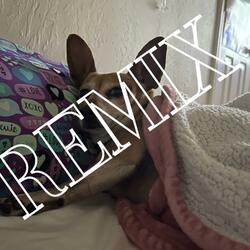 Gimme Food Gimme Pets V2 (DJ Chunky Butt Remix)