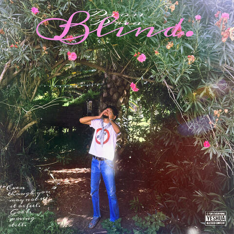 Blind