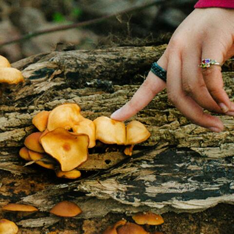 am i worthy (of your love)