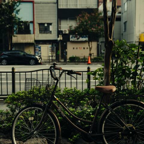 First Love